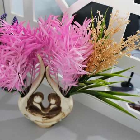 Cozy Flowers Studio - Fast Wi-Fi & Washer-Dryer 브라쇼브 외부 사진